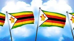 #NEWSWATCH: Singing and dancing on the streets of Zimbabwe and on social media