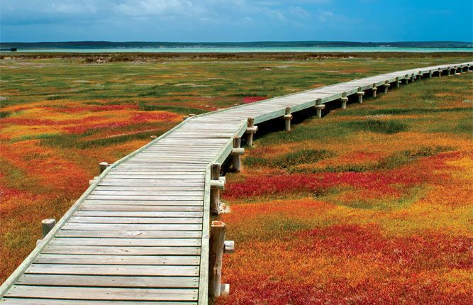 Six routes to consider on your next SA road trip