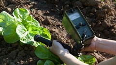 Good to know (perhaps) that food is being 'nuclearised'