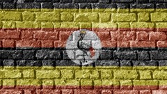 Ugandan tabloid editors detained over 'fake' story