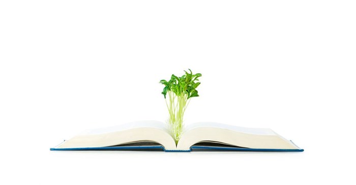 Villa and Monash SA join hands for instructional reform