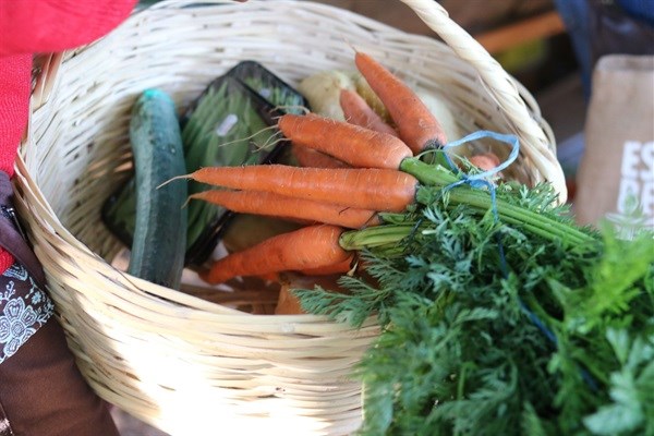 Eat, shop, play in Knysna