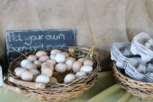 Eat, shop, play in Knysna