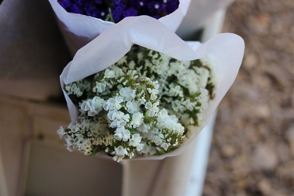 Eat, shop, play in Knysna