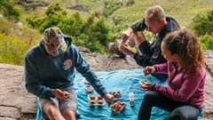 Image Source:  - Cape Town Experiences