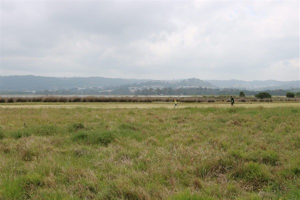 Eat, shop, play in Knysna