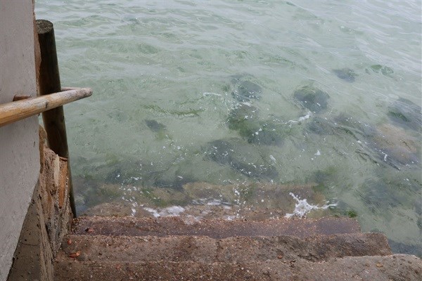 Eat, shop, play in Knysna