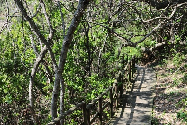 Eat, shop, play in Knysna