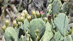 Andy Reago & Chrissy McClarren via