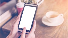 Smartphone market seeing steady growth, as bigger screens rule