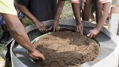 South Africa's twin malnutrition challenges: hunger and obesity