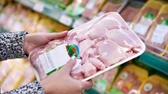 MoU unites African countries against chicken dumping, fights for level playing field