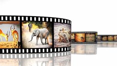 DISCOP Dubai provides opportunities for African content producers