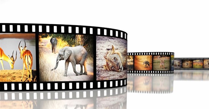 DISCOP Dubai provides opportunities for African content producers