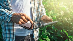 Smart data yields big harvests to feed the world