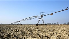 Top 12 major issues in agriculture