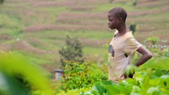 Rwanda's agricultural revolution is not the success it claims to be