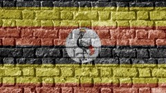 Eight Uganda tabloid staff freed on bail