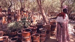 Mali's cultural capital shows how citizen-centred development can trump gentrification