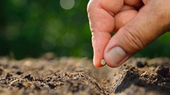 Farmers need to understand value of the agricultural chain