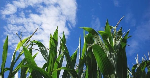 Tapping nation's irrigation potential