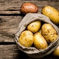Farmers in dilemma as potato prices drop