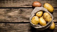 Farmers in dilemma as potato prices drop