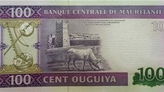 Photo: Banknotenews.com