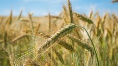 Challenges for agriculture in 2018