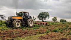 Eyibeauty Oyelowo via