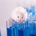 Mouse study shows how alcohol may cause cancer