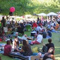 Backsberg Picnic Concert Series line-up announced