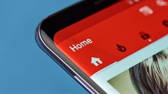 (c) Dzmitry Kliapitski -