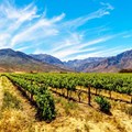 Paarl Tourism, Paarl Wine Route merges into one brand