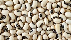 Making traditional food fashionable again will boost nutrition and food security