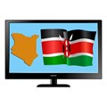 Kenya cuts TV transmissions over live coverage of opposition's Odinga