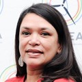Brenda Martin, CEO: South African Wind Energy Association
