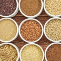 Ancient grains become modern food