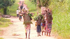 Francis Hannaway via