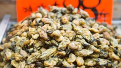 Abalone poaching: 'Hong Kong sucking up mountain of poached SA seafood'