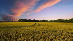 TheDigitalArtist via