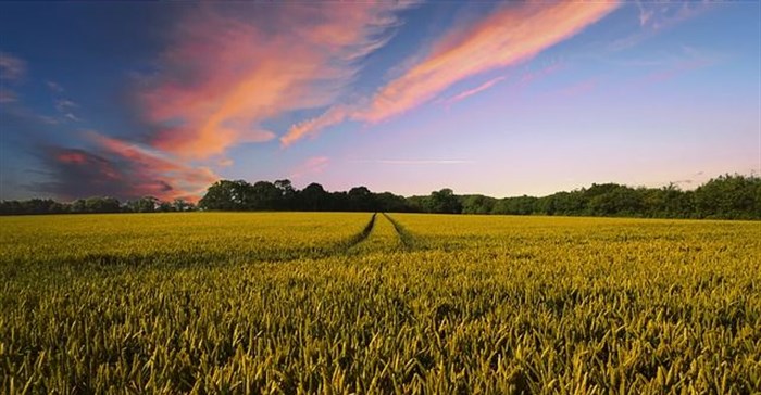 TheDigitalArtist via