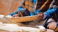 UN warns of rising food insecurity across Africa