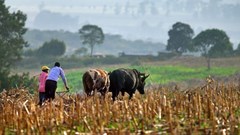 Lands committee to downsize farms