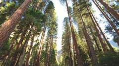 Photo by Chelsea Bock on