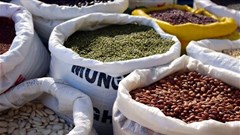 PublicDomainPictures via