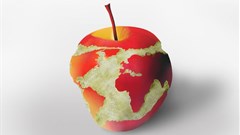 The time for Africa is not now - Africa is now