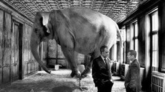 The elephant in the room and the 'Big 5' threats to the media agency