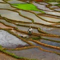 Paolo Crosetto via  - Rice paddies in Madagascar