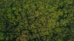 Photo by Matthew Kane on